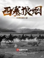 《西塞狼烟》小说封面