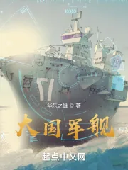 《大国军舰》小说封面