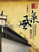 《枭风》小说封面