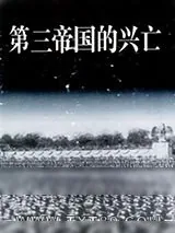 《第三帝国的兴亡：纳粹德国史》小说封面