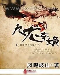 《九龙夺嫡》小说封面