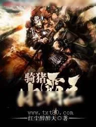 《骑猪小霸王》小说封面