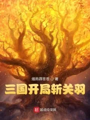 《三国开局斩关羽》小说封面