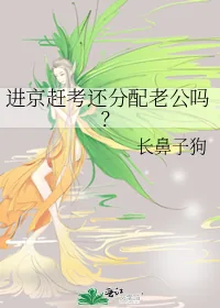 《进京赶考还分配老公吗？》小说封面