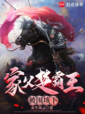 《家父楚霸王，被围垓下》小说封面