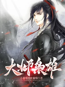 《大邶枭雄》小说封面
