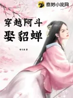 《穿越阿斗娶貂蝉》小说封面