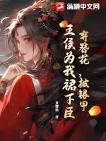 《弃簪花，披银甲，王侯为我裙下臣！》小说封面