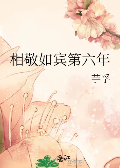 《相敬如宾第六年》小说封面