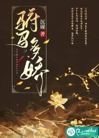 《驸马多娇》小说封面