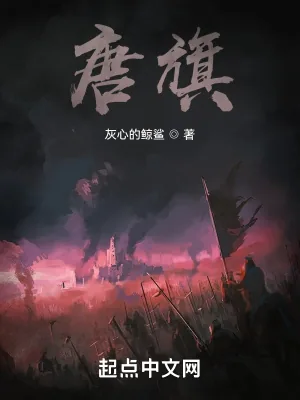 《唐旗》小说封面