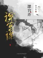 《深宫许》小说封面