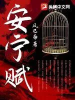 《安宁赋》小说封面