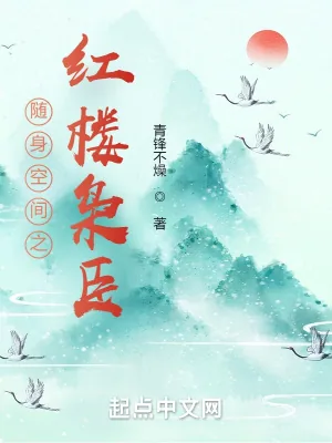 《随身空间之红楼枭臣》小说封面