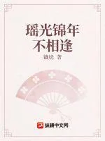 《瑶光锦年不相逢》小说封面