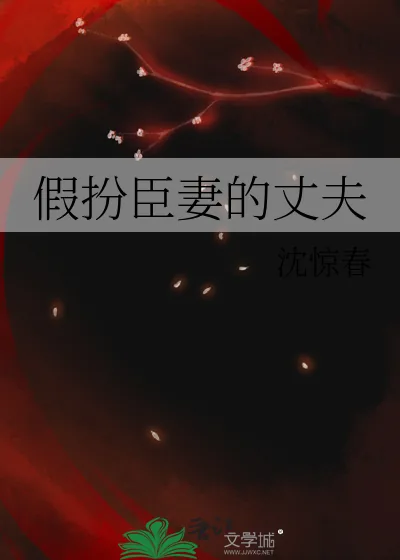 《假扮臣妻的丈夫》小说封面