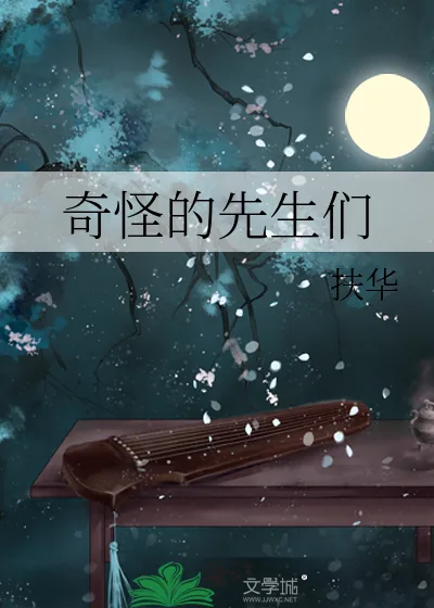 《奇怪的先生们》小说封面