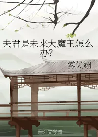 《夫君是未来大魔王怎么办?》小说封面