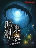 《暗潮来袭》小说封面