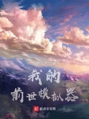 《我的前世模拟器》小说封面