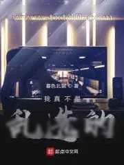《我真不是乱选的》小说封面