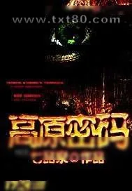 《高原密码》小说封面