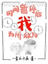 《时间暂停以后我为所欲为（无限）》小说封面