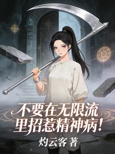 《不要在无限流里招惹精神病！》小说封面