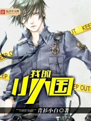 《我的小人国》小说封面