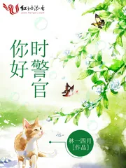 《你好,时警官》小说封面